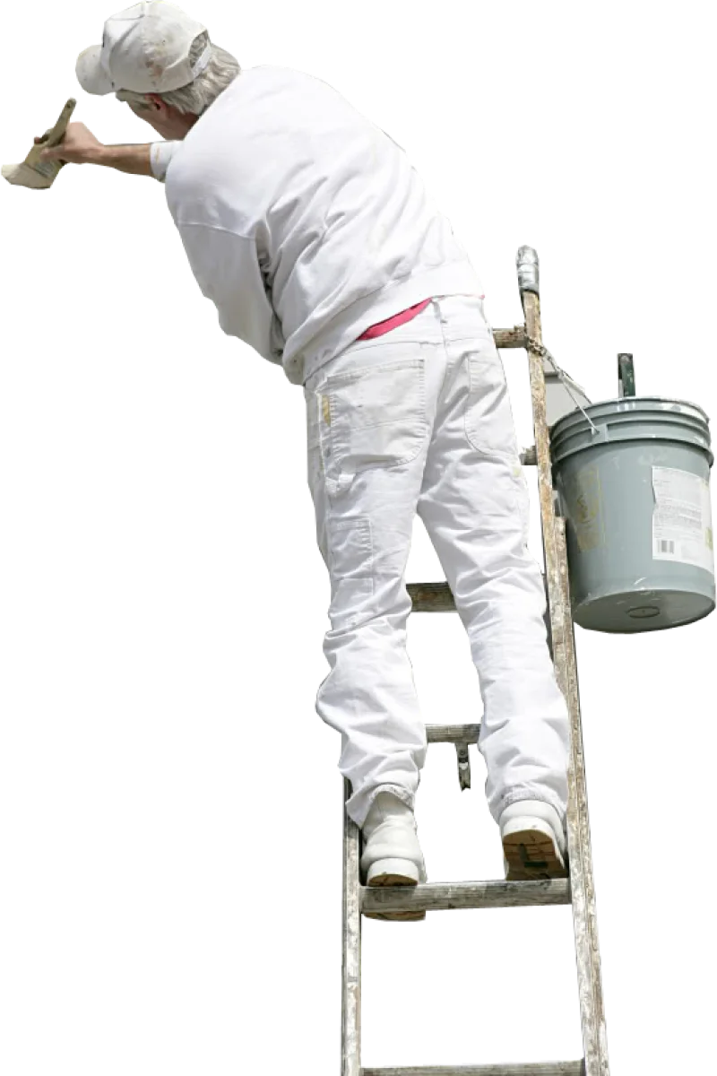 Solutions Isolation Demoussage Toiture Orvault CREER VOTRE ESPACE DE REVE